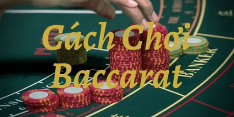 Cách chơi baccarat