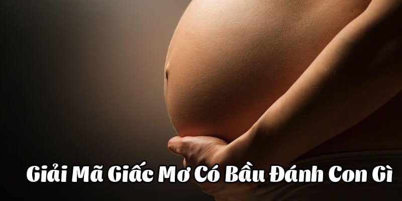 Chiêm bao về giấc mơ có bầu mang ý nghĩa là gì? 